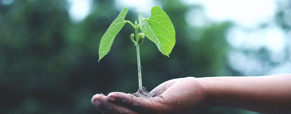 How to Grow Your Business in 2021